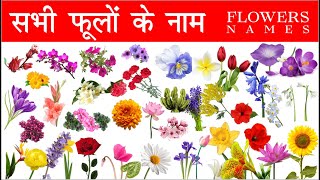 Flowers Name In Hindi & English With Pictures | Phoolon Ke Naam English Aur Hindi Mein