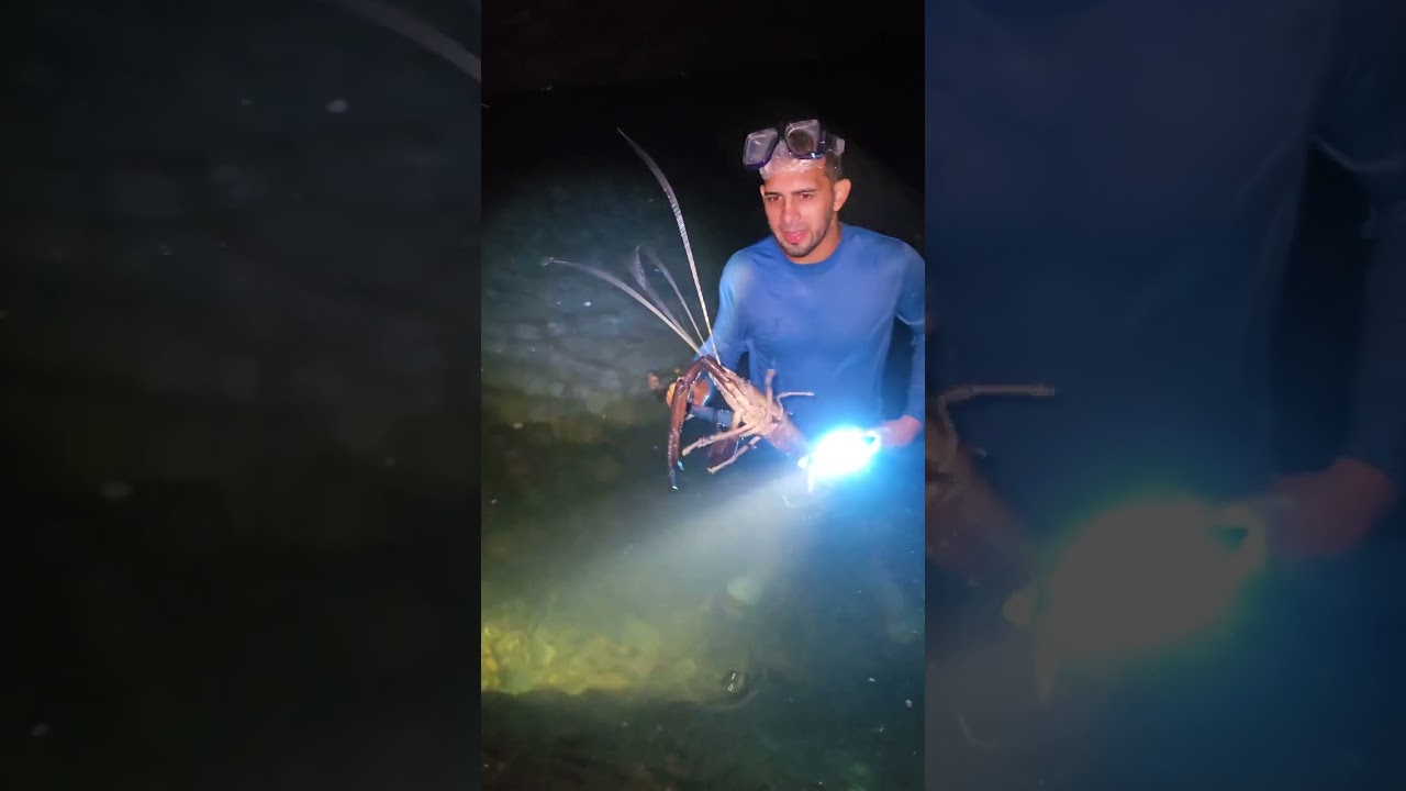 Buena la pesca de camarones 🔦🎥🔥🦞🇵🇷