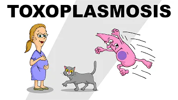 What percentage of cat owners have toxoplasmosis?