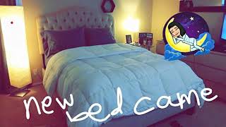 Bare Home Comforter Set - King//California King - Goose Down Alternative - review