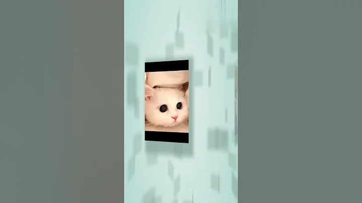 Watch the video about Cutest Cat Compilation Ever! | Funny & Adorable Kittens#catlover #adorable #cats #cutecats