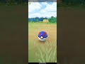 Waaooo💥💥I Find #Shiny #Galarian #Zigzagoon 🦎🦎🦎🦨🦨🦨 in #pokemongo