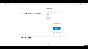 Download the SAP software using download manager