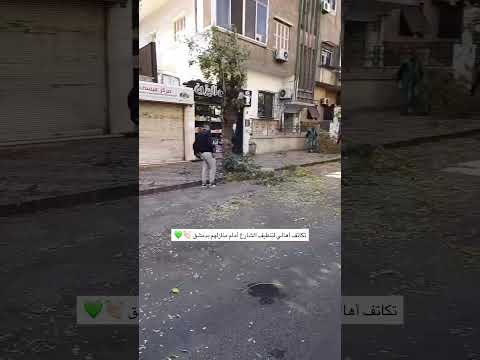 تكاتف أهالي لتنظيف الشارع أمام منازلهم بدمشق Video اكسبلور دمشق Viralvideo Syira متابعه