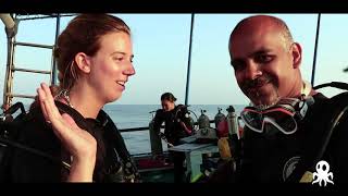 Diving in Koh Tao with Roctopus Dive Center