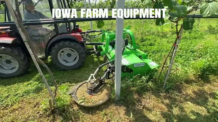 Peruzzo Side Trim Mower Bull 2000 Front Mount Flail Mower Inter Row Mower Vineyard Orchard Mower