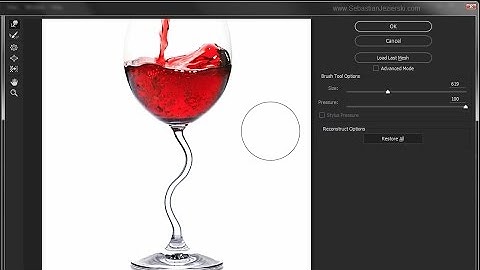 Editing pictures in Photoshop CC - Liquify Tool - How this Filter Work?