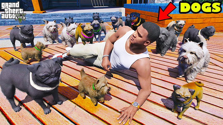 Franklin Attacked By Chop's One Thousand Puppies In GTA 5 | SHINCHAN and CHOP