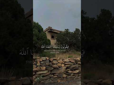 لا يجدون وليا ولا نصيرا القارئ محمد اللحيدان