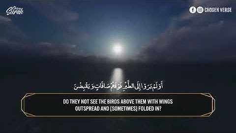 Surah Al Mulk Sherif Mustafa   القارئ شريف مصطفي سورة الملك   راحه وسكين�