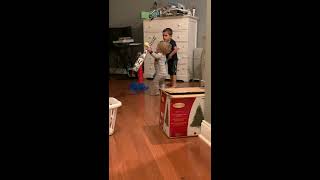 Boy attempts to hit baseball from batting tee with bat but accidentally hits little brother on face
