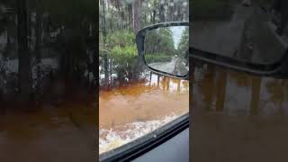 Tosohatchee Part2 Fish Hole Rd