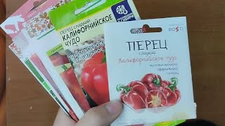 Обзор перцев🌱