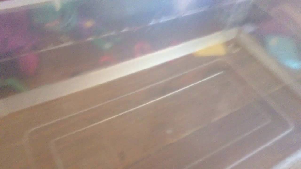 Boat Friend by Jorydn Mallory