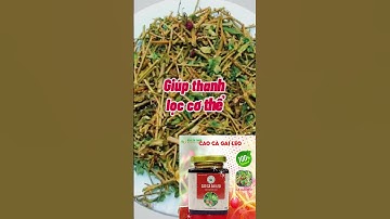 6 Lợi Ích Khi Uống Trà Cà Gai Leo