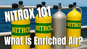 NITROX Beginners Guide | What you need to know for a safe dive!