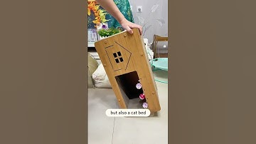 🔥Cat scratching board factory #cat #catcare #catbehavior #funnyanimals #funnypets