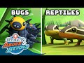 Octonauts: Above & Beyond - Bugs & Reptiles | Land Adventures | @Octonauts