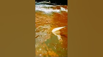 Cast Nets simple knots making tutorial #fishing #fish #catch