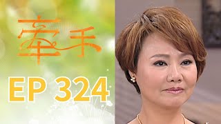 Holding Hands EP324 The Other Hands｜Sanlih E-Television Drama
