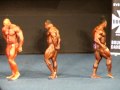 2009 Australian Grand Prix IX Bodybuilding - Comparisons 2