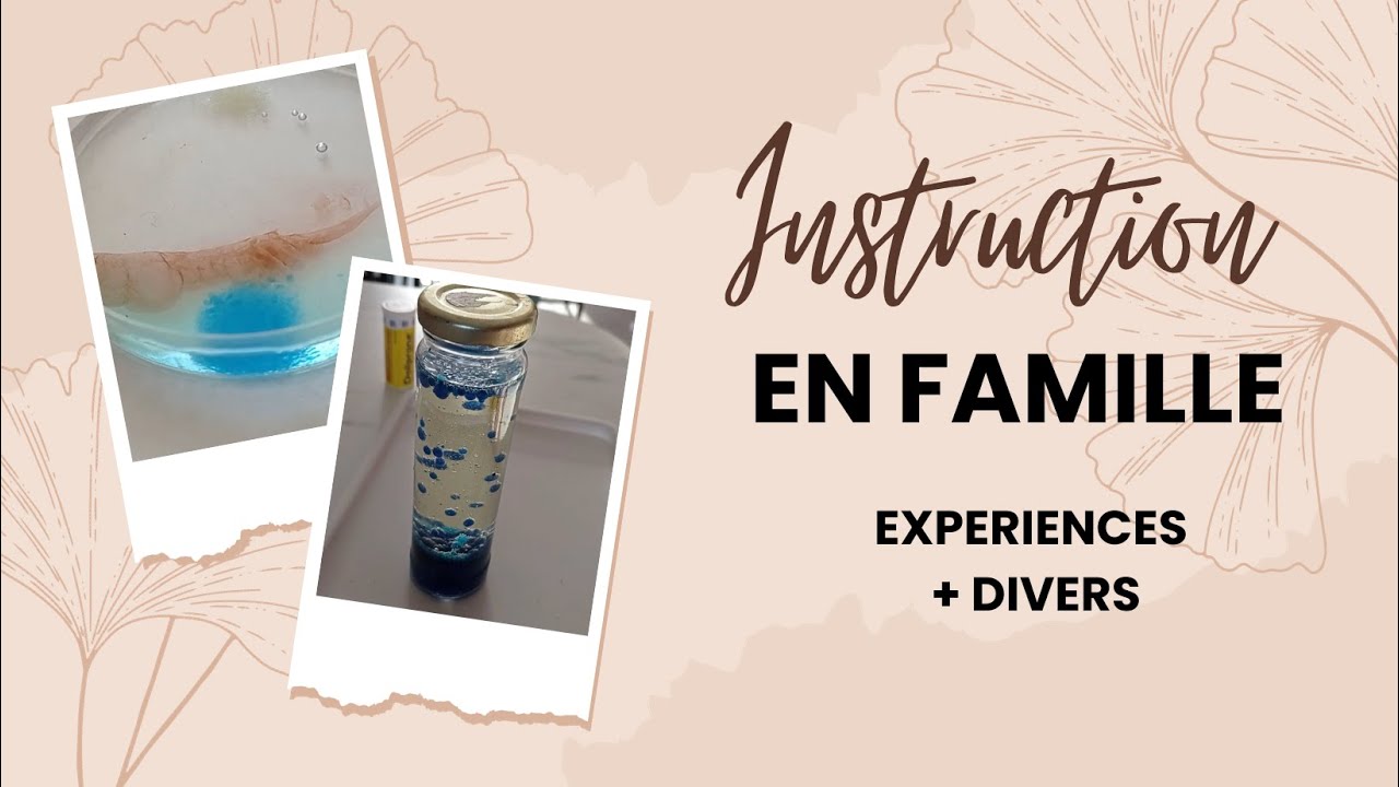 Instruction en famille | IEF | Expériences | Fabrication d'une lampe à lave | Mel Chemistry | Divers