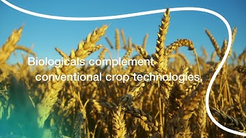 Syngenta Biologicals Corporate Video  Connecting Science with Nature Source