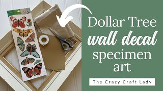 Dollar Tree Wall Decal Craft: DIY Butterfly Specimen Art