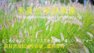 《清晨的寧靜氛圍》 #沉浸式音樂#獨處音樂  #放鬆心情 #疗愈歌曲 #nature #助眠#輕音樂#晨曦中的鋼琴#輕音樂的魅力#light #nature #治愈音乐 #清晨的音樂