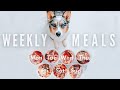 What My Raw Fed Dog Eats In A Week