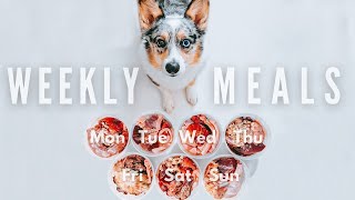 What My Raw Fed Dog Eats In A Week