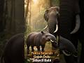 Gajah Dulu Sekecil Babi! - Fakta Sejarah#shorts#shortvideo#faktasejarah