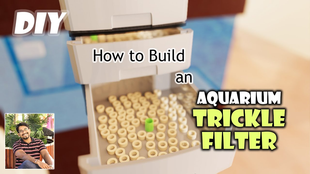 How to Build an Aquarium Trickle Filter DIY YouTube