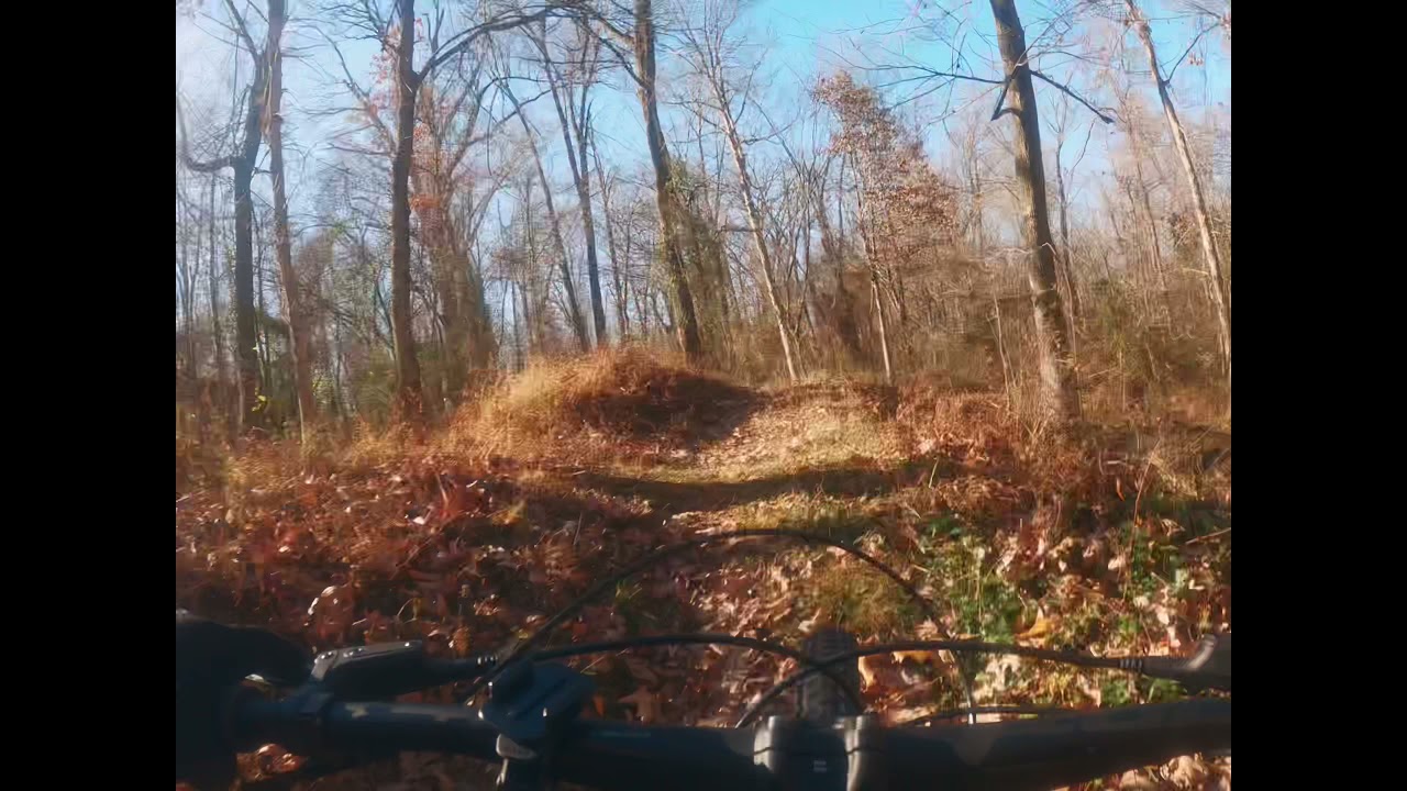Back woods trail riding 
