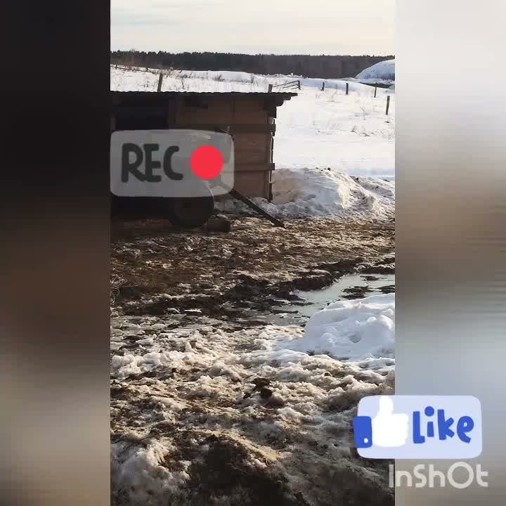 1 Плаванье