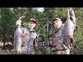 Armadillo hunting with bow