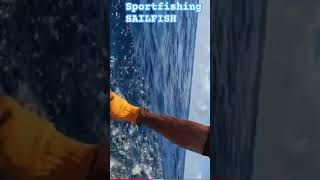 CATCH and RELEASE #shorts #sailfish #sportfishing #fyp