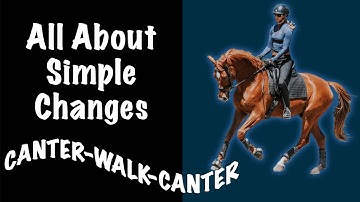 How to do Simple Changes: Canter-Walk-Canter