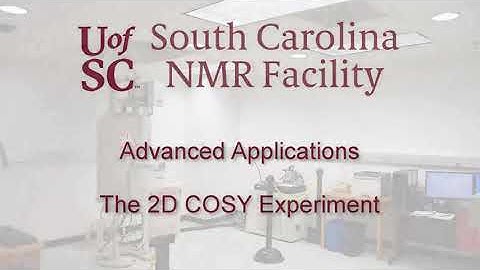 The 2D COSY Experiment