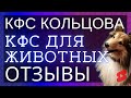 🔥Шетландская овчарка (шелти) Гранд (5 лет)  ▫️ Отзывы о КФС Кольцова ▫️ КФС для животных