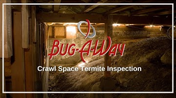 Termite Crawlspace Inspection | Bug-A-Way Pest Control Neosho, MO