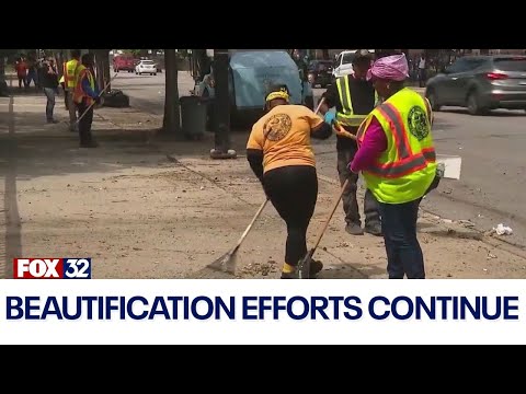 DNC 2024: Beautification