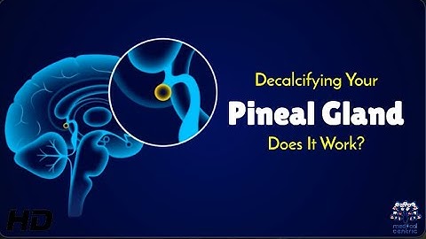 Decalcifying the Pineal Gland: Fact or Fiction?
