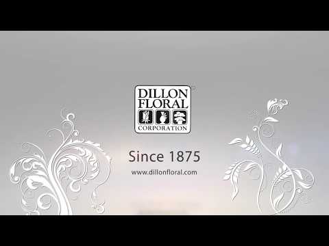 Dillon Floral - About Us