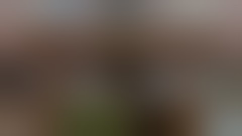 The Fascinating History of Hashish and the Art of Hash Making