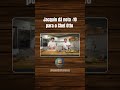 Nota - 10 #shorts #culinária #cozinha