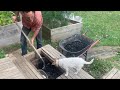 Simple low-cost charcoal and tiger worm grey-water system