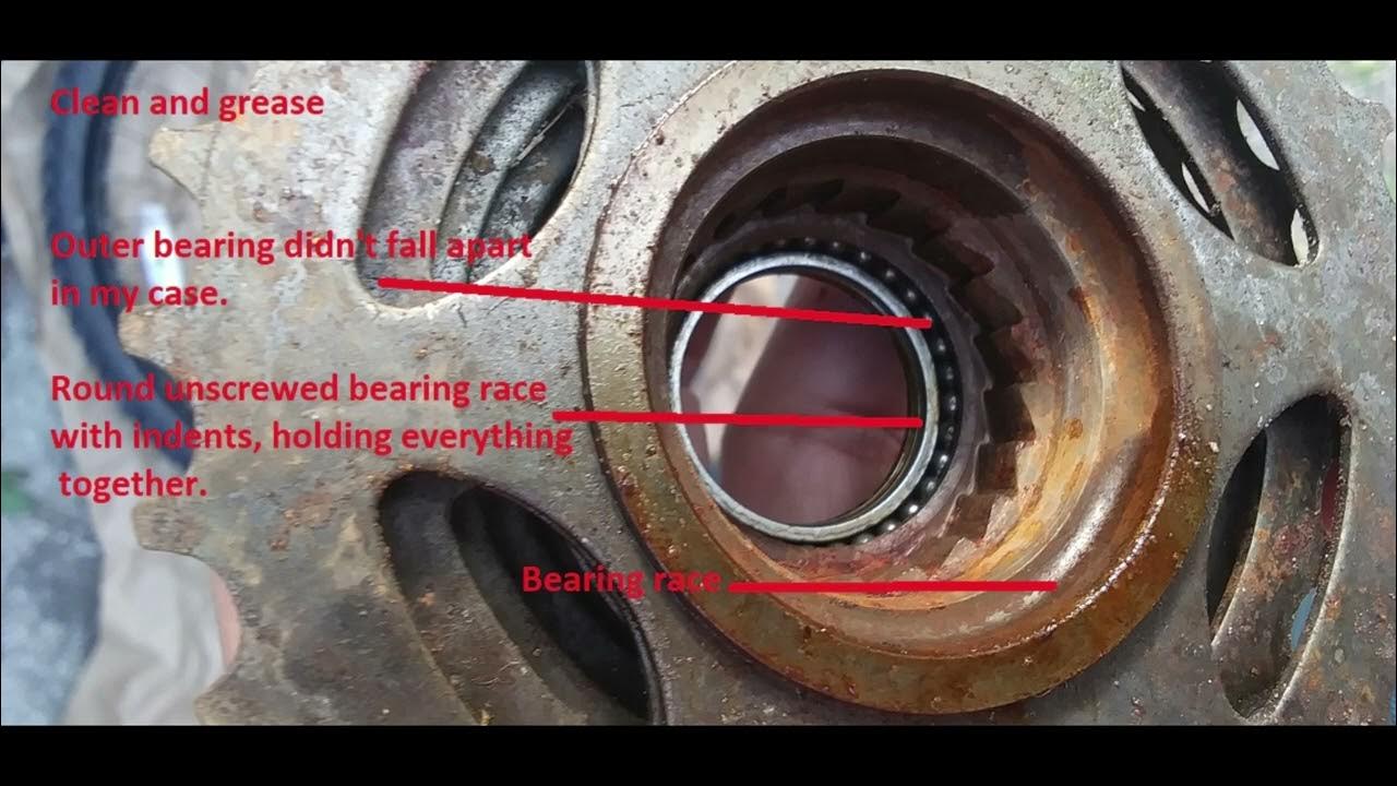 Bicycle Freewheel Disassembly/Assembly. 10 min job. YouTube