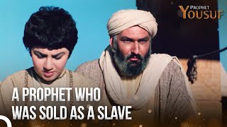 The Prophet Yousuf Was Sold as a Slave | Prophet Yousuf