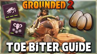 Grounded 2 - Comment Trouver Et Faire Éclore Le Buggy Mordeur Dorteils